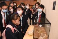 The Science Unit of Lingnan University arranges classes on topics such as plastic classification, kitchen waste processing, and biodiversity so the students can participate in various experiential STEAM activities.