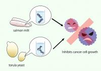Compounds from nucleic acids derived from salmon milt DNA and torula yeast RNA showed effects against cancer cell growth.