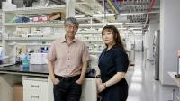 Professor Kyung-Tai Min and Soyeon Lee