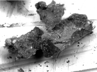 Scanning electron micrograph of the number 15 grain of sample plate C0105-042 from Ryugu, in which djerfisherite was discovered. (Hiroshima University/Masaaki Miyahara).