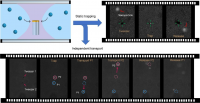 optical nanotweezers