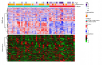  Unsupervised clustering results