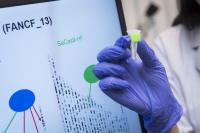 City University of Hong Kong, CityU, SaCas9-HF,CRISPR-Cas9