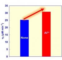 Comparison of malate production rates from CO2 and pyruvate with and without aluminum ions