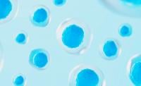 cells