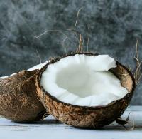 Coconut and fibres