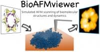 BioAFMviewer