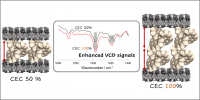 VCD for molecular interaction 