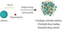 A figure showing the mixture of albumin, PLGA and drug molecules