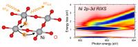 Our simulated result for resonant inelastic x-ray scattering (RIXS) spectra of infinite-layer nickelate