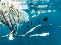 Plastics floating in the sea