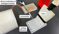 Preparation of the MraY inhibitor analog library. (Photo: Kazuki Yamamoto)