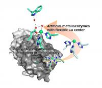 Artificial metalloenzyme created with improved stereoselectivity