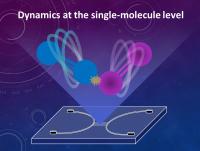 Dynamics at the single-molecule level