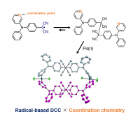 Combining dynamic covalent chemistry and coordination chemistry to synthesize new macrocyclic molecules