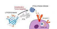 Paclitaxel binding to L-PGDS