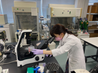 elite antibodies defeat coronavirus variants