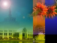 The Research Center of Communication and Development Knowledge Management (CCDKM) 